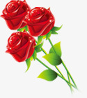 晶莹红色玫瑰七夕素材