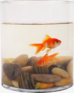 白玻璃鱼缸鱼缸高清图片