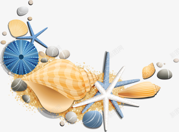海星海螺海底png免抠素材_新图网 https://ixintu.com 海底图案 海星 石头 装饰图案