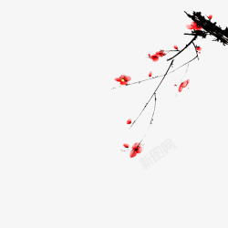 梅花国画手绘花朵素材