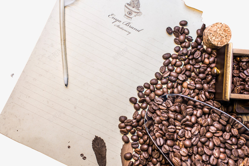 咖啡豆png免抠素材_新图网 https://ixintu.com 书页 咖啡 种子 背景