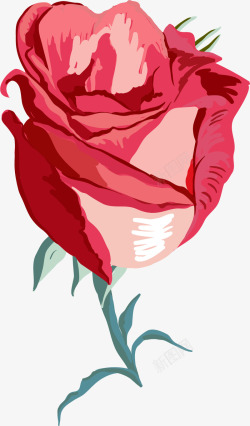 一朵玫瑰花图案素材