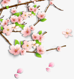 粉色春天花朵梅花素材