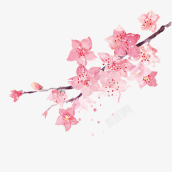 粉色手绘梅花装饰素材