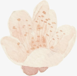 手绘郁金香日本水彩素材