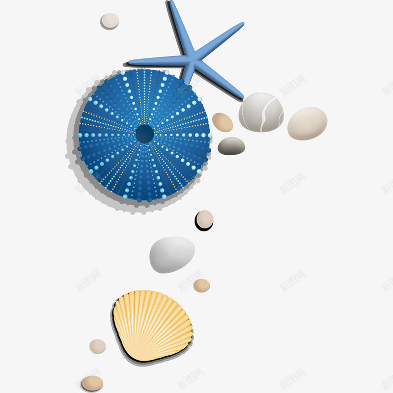 海洋海星贝壳石头png免抠素材_新图网 https://ixintu.com 海星 海洋 石头 贝壳