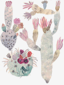 手绘彩绘水粉画植物仙人掌素材