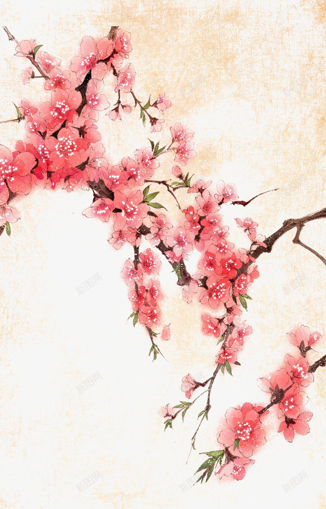 花png免抠素材_新图网 https://ixintu.com 中国风手绘 粉红色 花