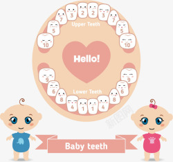 教育图示卡通婴儿牙齿牙科保护注解高清图片