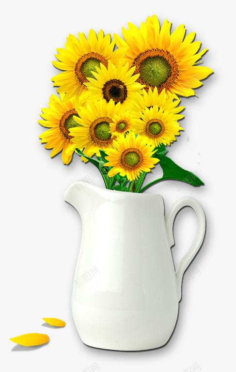 花瓶里的向日葵透明png免抠素材_新图网 https://ixintu.com png图片 png大图 免扣 免扣png图片 向日葵的png图片 花瓶里的向日葵