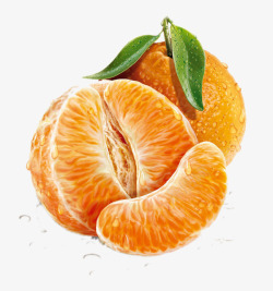 手绘橘子果肉素材