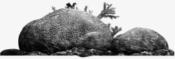 海石海石高清图片