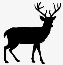 梅花鹿动物黑色素描素材