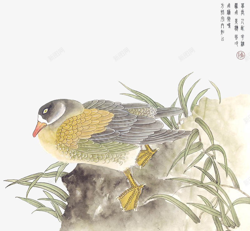 中国画花鸟png免抠素材_新图网 https://ixintu.com 中国画花鸟 小鸟 石头 草丛