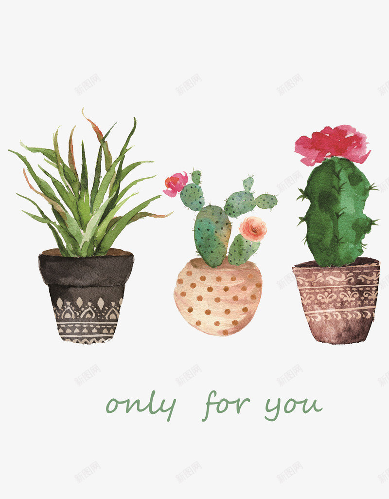 简约风格的仙人掌植株png免抠素材_新图网 https://ixintu.com 仙人掌 卡通 手绘 抽象 清新 简约 英文 风格