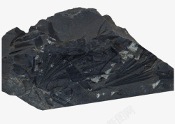 黑色草木化石素材