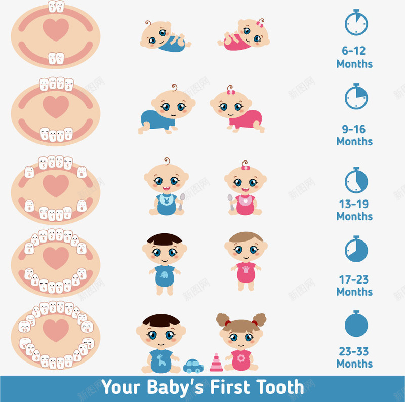 可爱卡通牙齿注解png免抠素材_新图网 https://ixintu.com 图示 婴儿 婴儿牙齿 教育