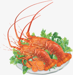 红色龙虾食物蔬菜素材