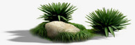 绿色针叶植物石头png免抠素材_新图网 https://ixintu.com 植物 石头 绿色 针叶
