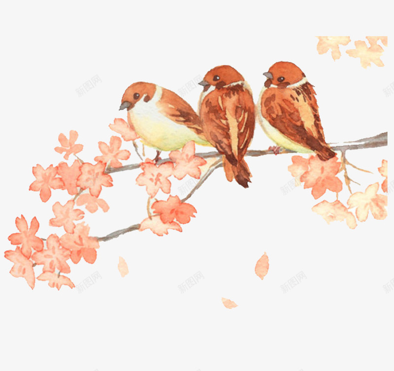 梅花树枝上的鸟png免抠素材_新图网 https://ixintu.com 手绘 手绘梅花枝 梅花树枝上的鸟 站着的鸟