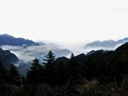 矢量中国国家森林公园中国风的魅力景色高清图片