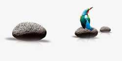 河上的石头石头上的鸟高清图片