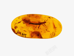 琥珀黄色的琥珀石高清图片
