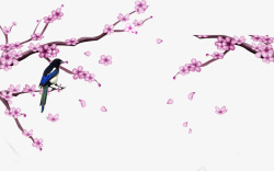 枝头上的鹦鹉中国风喜鹊高清图片
