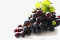 食品保鲜美味葡萄高清图片