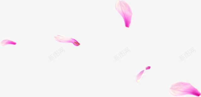 粉红色创意随风飞扬的花瓣png免抠素材_新图网 https://ixintu.com 创意 粉红色 花瓣 飞扬
