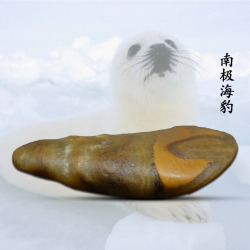 南极海豹南极海豹主图奇石石头高清图片