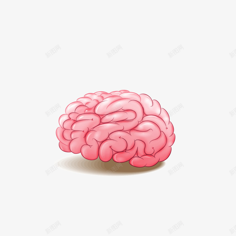 粉红色脑袋大脑png免抠素材_新图网 https://ixintu.com 大脑 生物 粉红色 脑袋