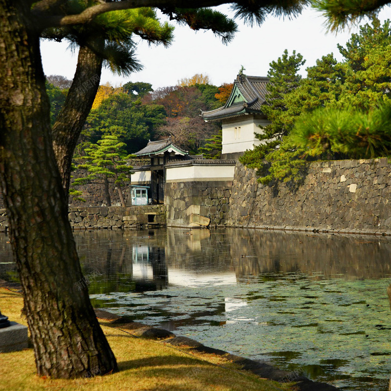 东京png免抠素材_新图网 https://ixintu.com 世界风景 东京图片 名胜古迹 地方景点 实物图 房子 摄影图 旅游 旅游图片 日本旅游 日系街道 湖水 风景名胜 高清图片