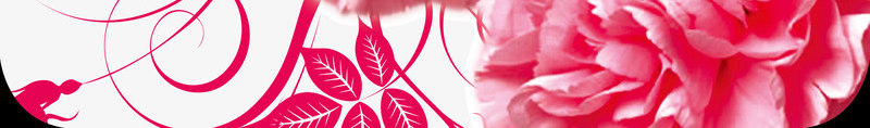 母亲节png_新图网 https://ixintu.com 宣传活动 康乃馨 感恩 海报设计 粉红色