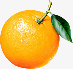 橙子带水珠素材