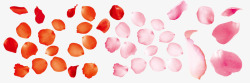粉红色花瓣合集装饰素材
