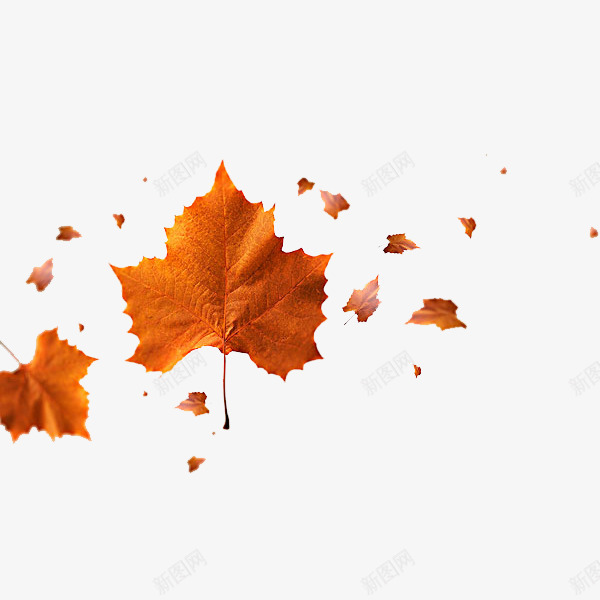 落叶的场景png免抠素材_新图网 https://ixintu.com 卡通 手绘 树叶 秋天 简笔 装饰 黄色的