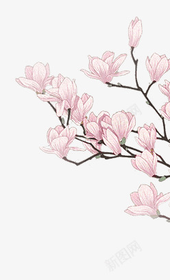 手绘合成粉红色的桃花树png免抠素材_新图网 https://ixintu.com 合成 粉红色 花树