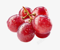 带水葡萄红色带水珠的新鲜葡萄实物高清图片