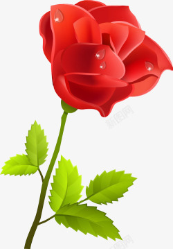 一支玫瑰花素材