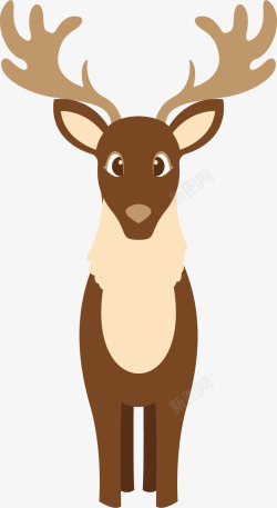 红原大草原棕色的麋鹿矢量图高清图片
