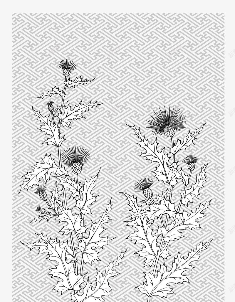 日本线描植物花卉矢量图eps免抠素材_新图网 https://ixintu.com 日本 矢量素材 线描植物 花卉 矢量图