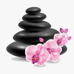 黑色鹅卵石与花素材