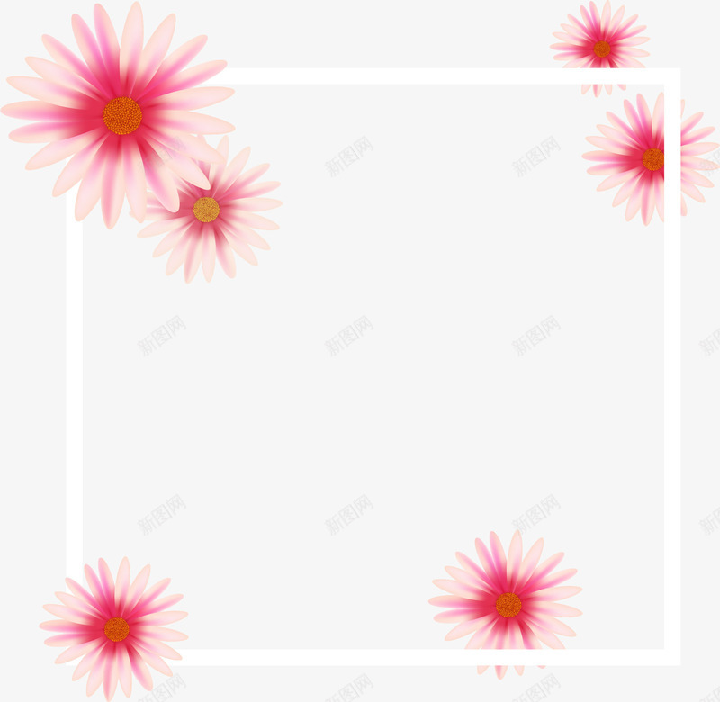 粉色雏菊装饰框png免抠素材_新图网 https://ixintu.com 浪漫边框 矢量素材 粉红色 粉色雏菊 雏菊装饰框
