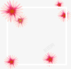 粉色雏菊装饰框素材
