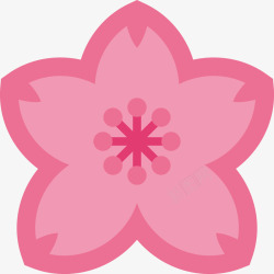 一朵粉色的梅花花朵素材