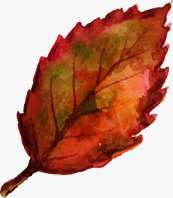 水彩秋季落叶矢量图素材