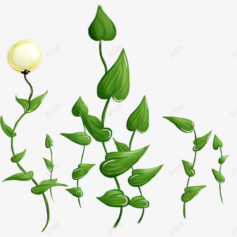 生长的绿萝png免抠素材_新图网 https://ixintu.com 健康教育 植物绿萝 清明节装饰 装饰图案