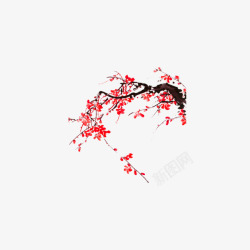 红色梅树腊梅梅树高清图片
