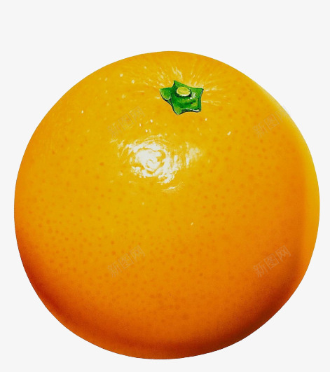 橙子水果png免抠素材_新图网 https://ixintu.com 果 橙 水 高